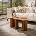 Salontafel Fuse | Set van 2 | Massief acacia