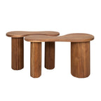 Salontafel Fuse | Set van 2 | Massief acacia
