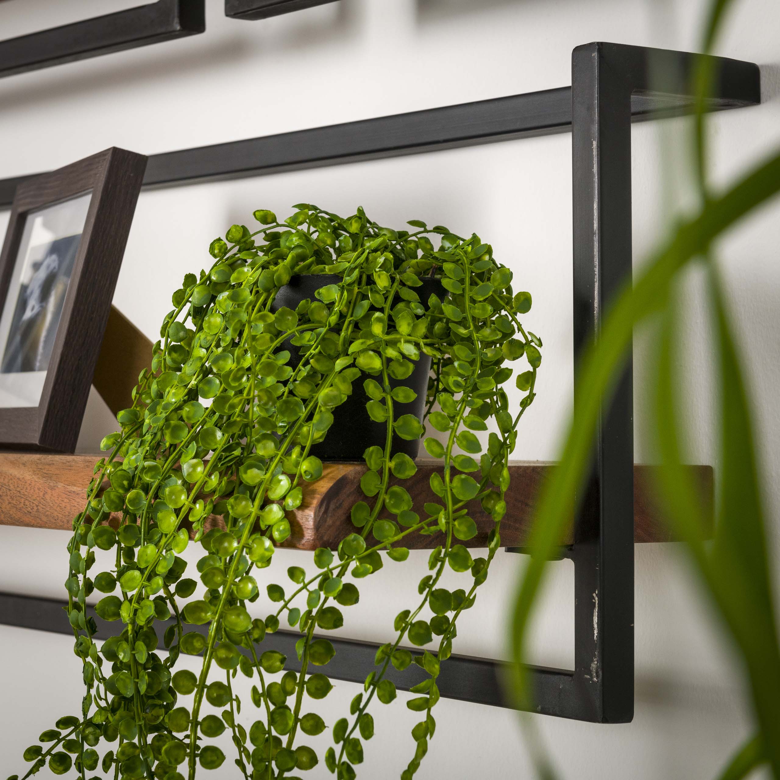 Wandplank Edge Frame | 30 cm | Massief acacia