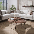 Salontafel Carve | Set van 2 | Massief acacia bruin