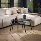 Salontafel Metallic organisch | Set van 2 | Grijs
