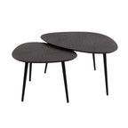 Salontafel Metallic organisch | Set van 2 | Grijs