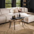 Salontafel Metallic | Niervormig | Set van 2 | Grijs