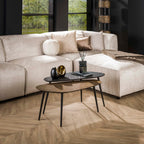Salontafel Metallic | Niervormig | Set van 2 | Grijs