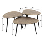 Salontafel Metallic | Driehoekig | Set van 3