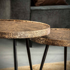 Salontafel Metallic Rond | Set van 2 | Antiek brons