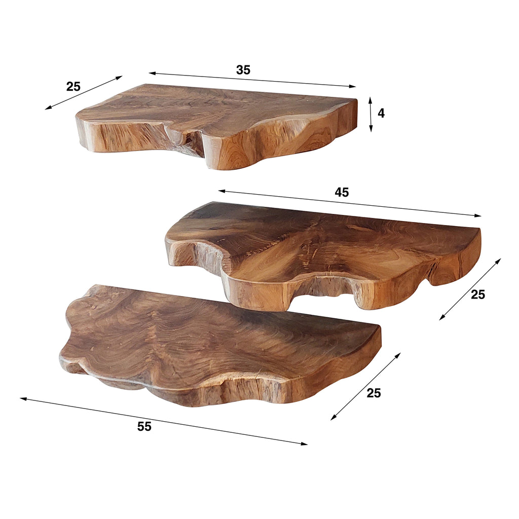 Wandplankset Natural Line | Set van 3 | Massief teak