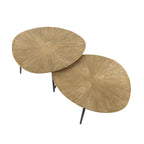 Salontafel Ray Organisch | Set van 2 | Antiek goud