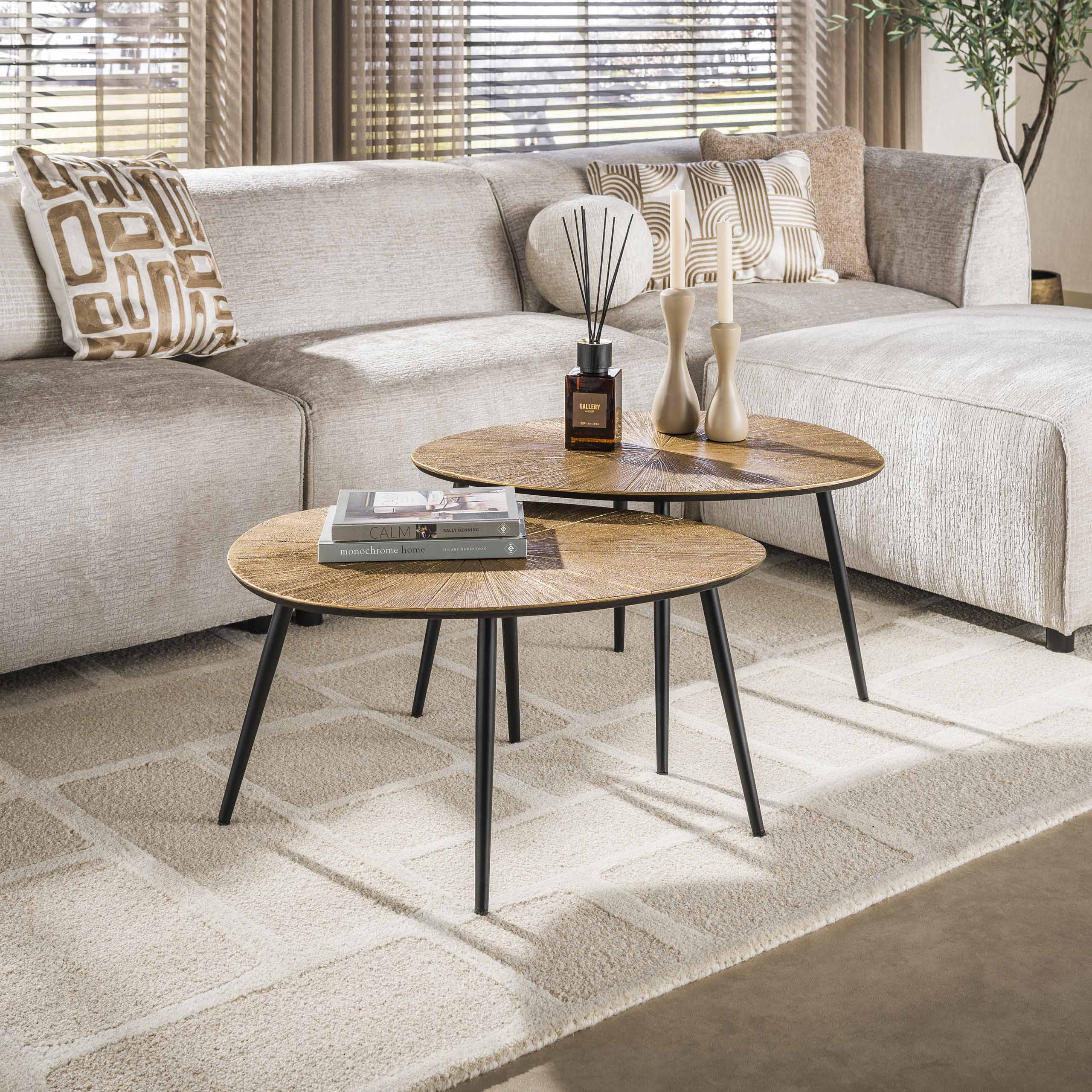 Salontafel Ray Organisch | Set van 2 | Antiek goud