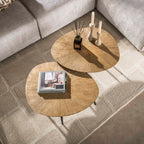 Salontafel Ray Organisch | Set van 2 | Antiek goud