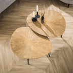 Salontafel Ray Organisch | Set van 2 | Antiek goud