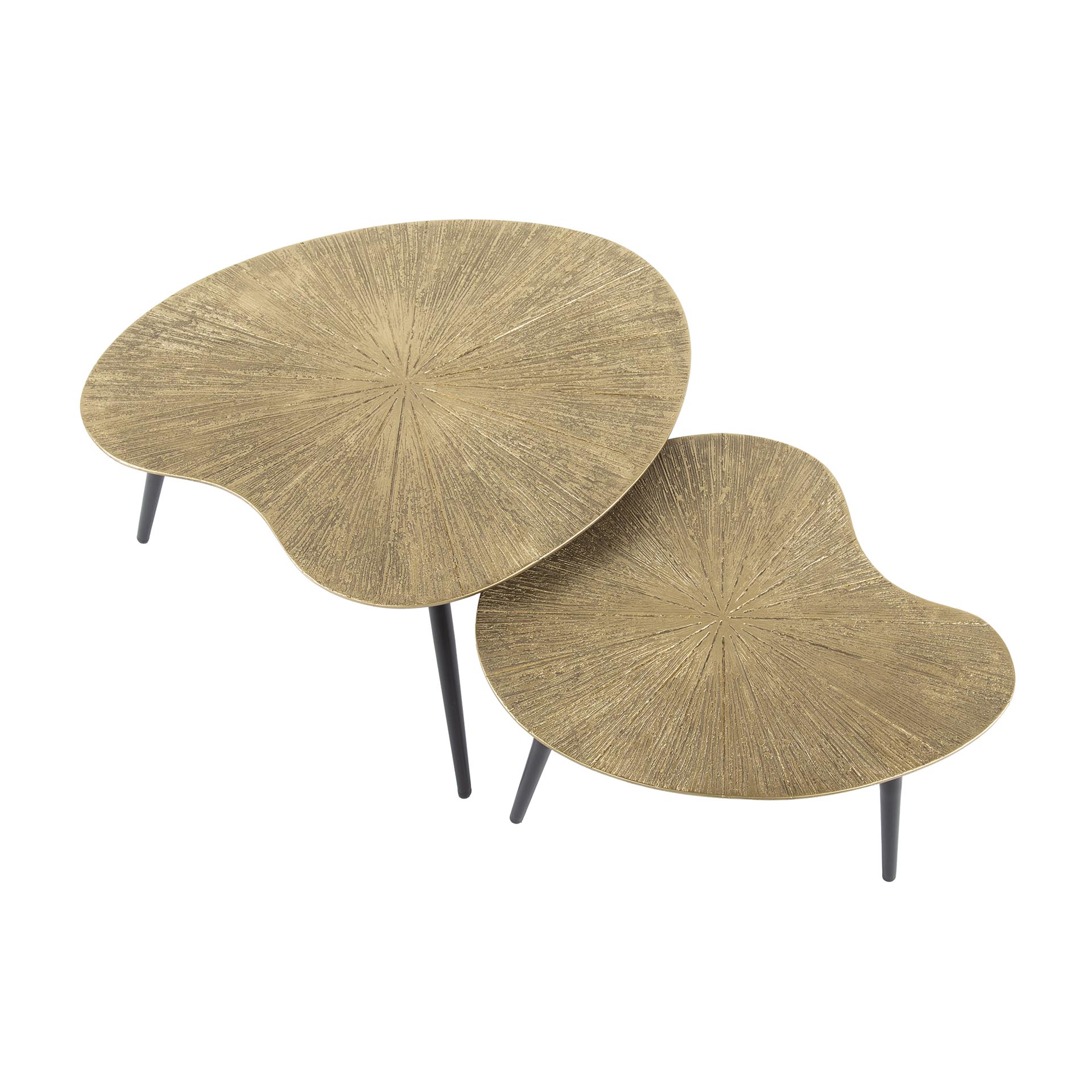 Salontafel Ray | Niervormig | Set van 2 | Antiek goud