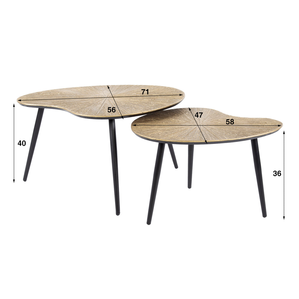 Salontafel Ray | Niervormig | Set van 2 | Antiek goud