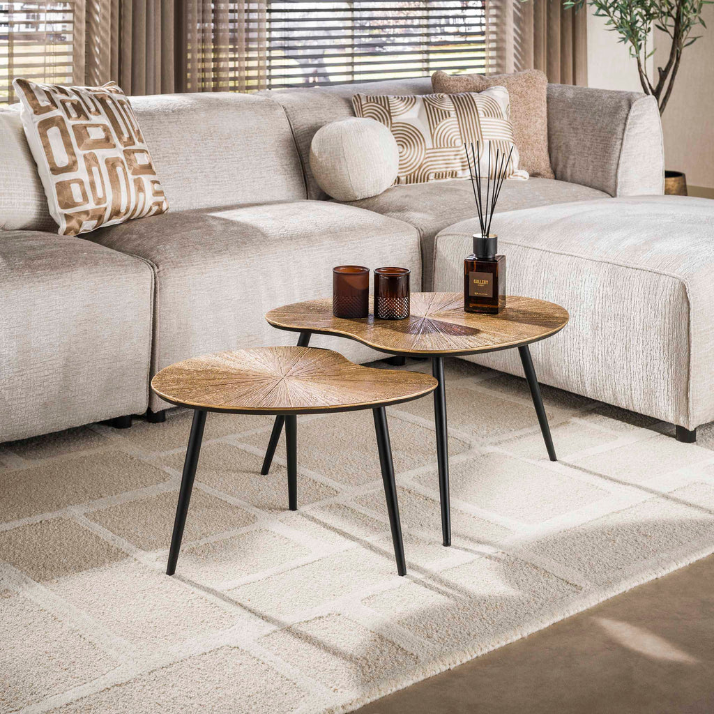Salontafel Ray | Niervormig | Set van 2 | Antiek goud