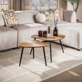 Salontafel Ray | Niervormig | Set van 2 | Antiek goud