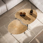 Salontafel Ray | Niervormig | Set van 2 | Antiek goud