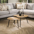 Salontafel Ray | Niervormig | Set van 2 | Antiek goud