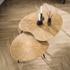 Salontafel Ray | Niervormig | Set van 2 | Antiek goud