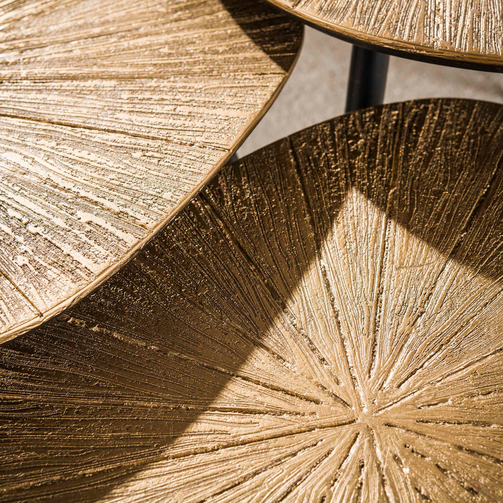Salontafel Ray | Niervormig | Set van 2 | Antiek goud