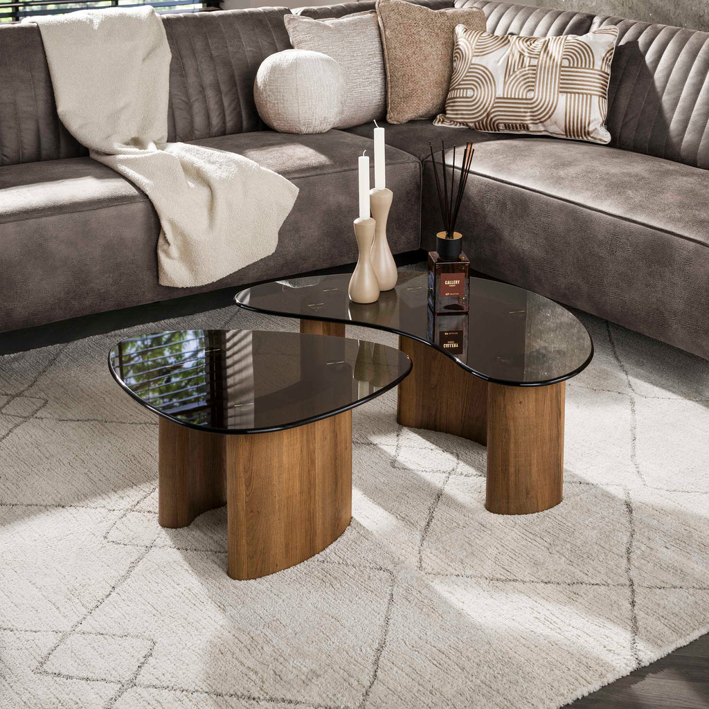 Salontafel Tinto | Set van 2 | Organisch Brons glas