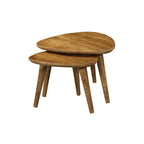 Salontafel Omaha | Set van 2 | Mangohout Driehoek