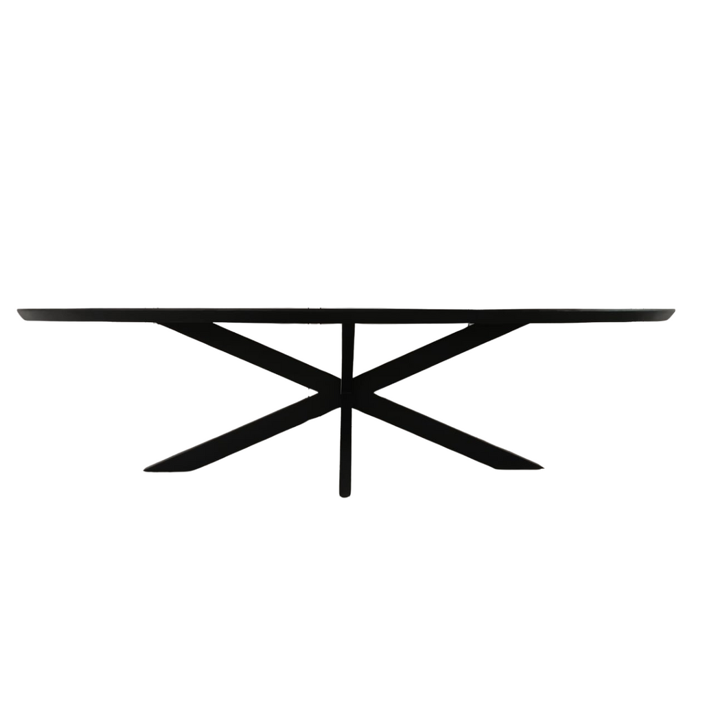 Eettafel Ovaal Brandy Black | Massief mango | Zwart
