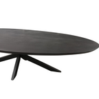 Eettafel Ovaal Brandy Black | Massief mango | Zwart