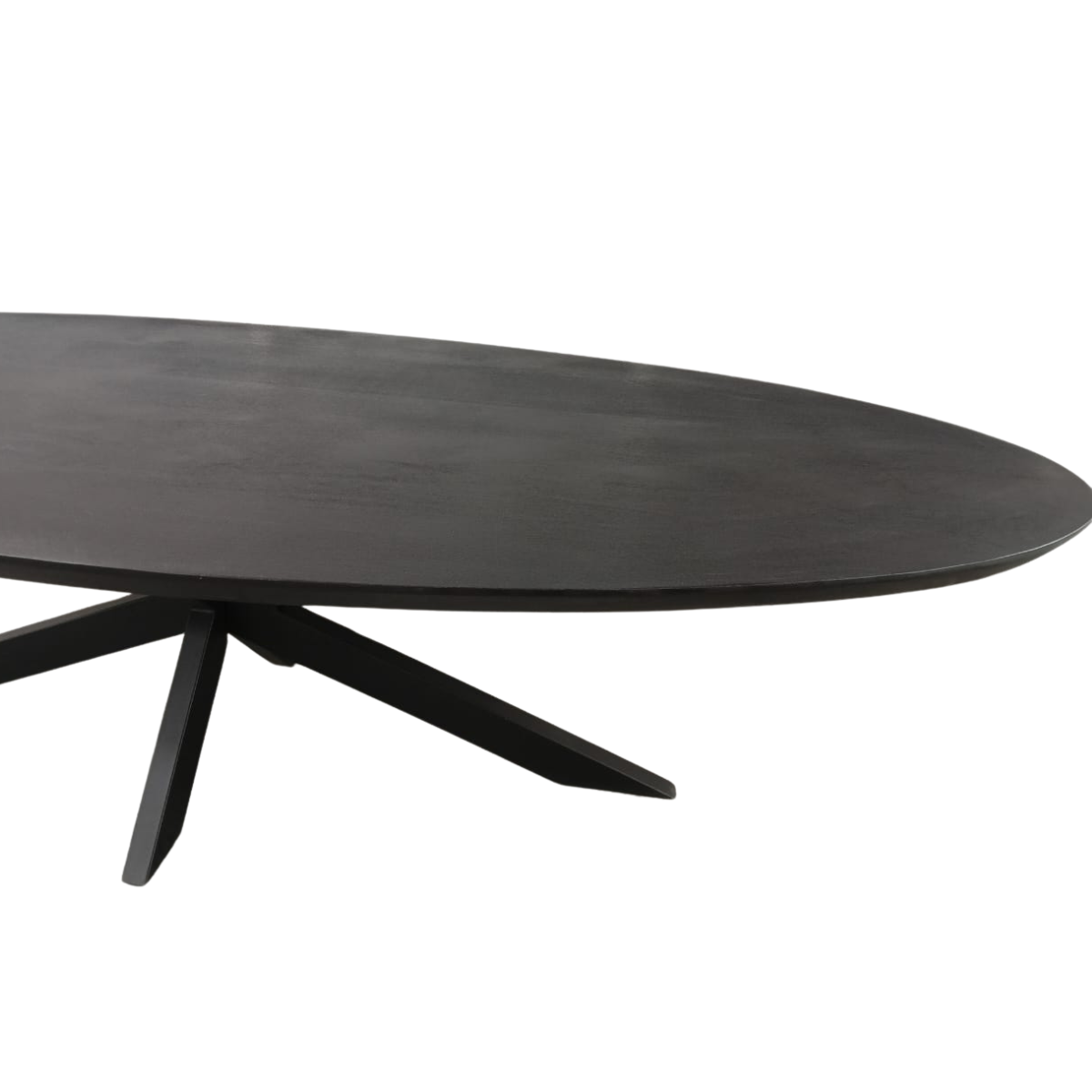 Eettafel Ovaal Brandy Black | Massief mango | Zwart