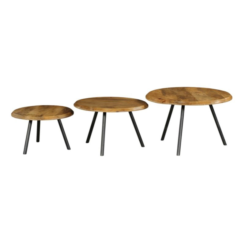 Salontafel Ohio | Set van 3 | Massief mangohout