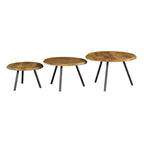 Salontafel Ohio | Set van 3 | Massief mangohout