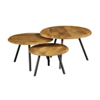 Salontafel Ohio | Set van 3 | Massief mangohout