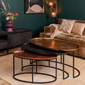 Salontafel Raley | Set van 3 | Ovaal aluminium