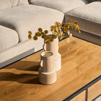 Salontafel Denver | 2 lades | Massief mangohout
