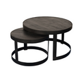 Salontafel Lola | Set van 2 | Massief mangohout