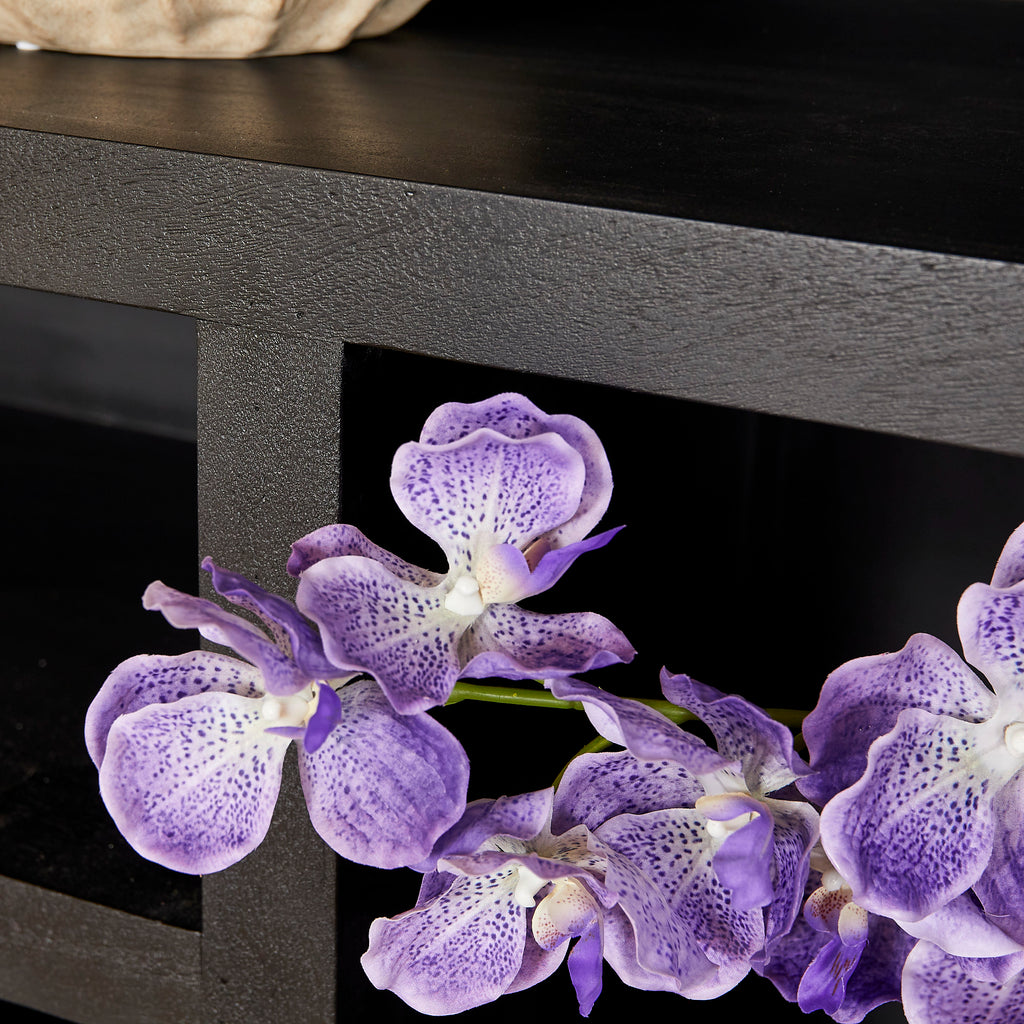 Vakkenkast Brussel Black XL | Mangohout | Black finish