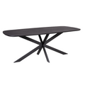 Eettafel Elegance Black | 240x110 | Mangohout