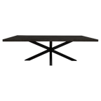 Eetkamertafel Denver Black | Mangohout | Zwart