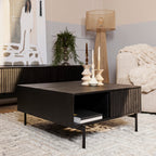 Salontafel Madison | 2 Laden | Mangohout | Zwart