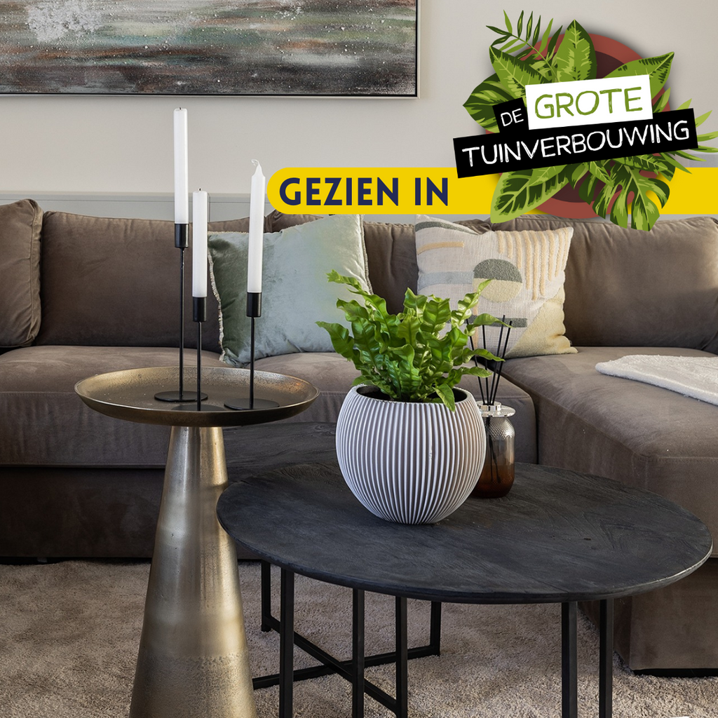 Salontafel Arlington | Set van 2 | Mangohout Zwart